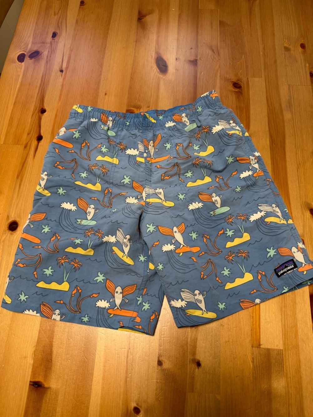 Patagonia Navy Blue Swim Shorts with Teal Drawcord and Multicolor Print